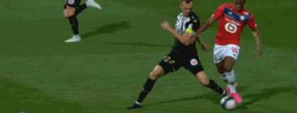 的复合优势 的复合优势