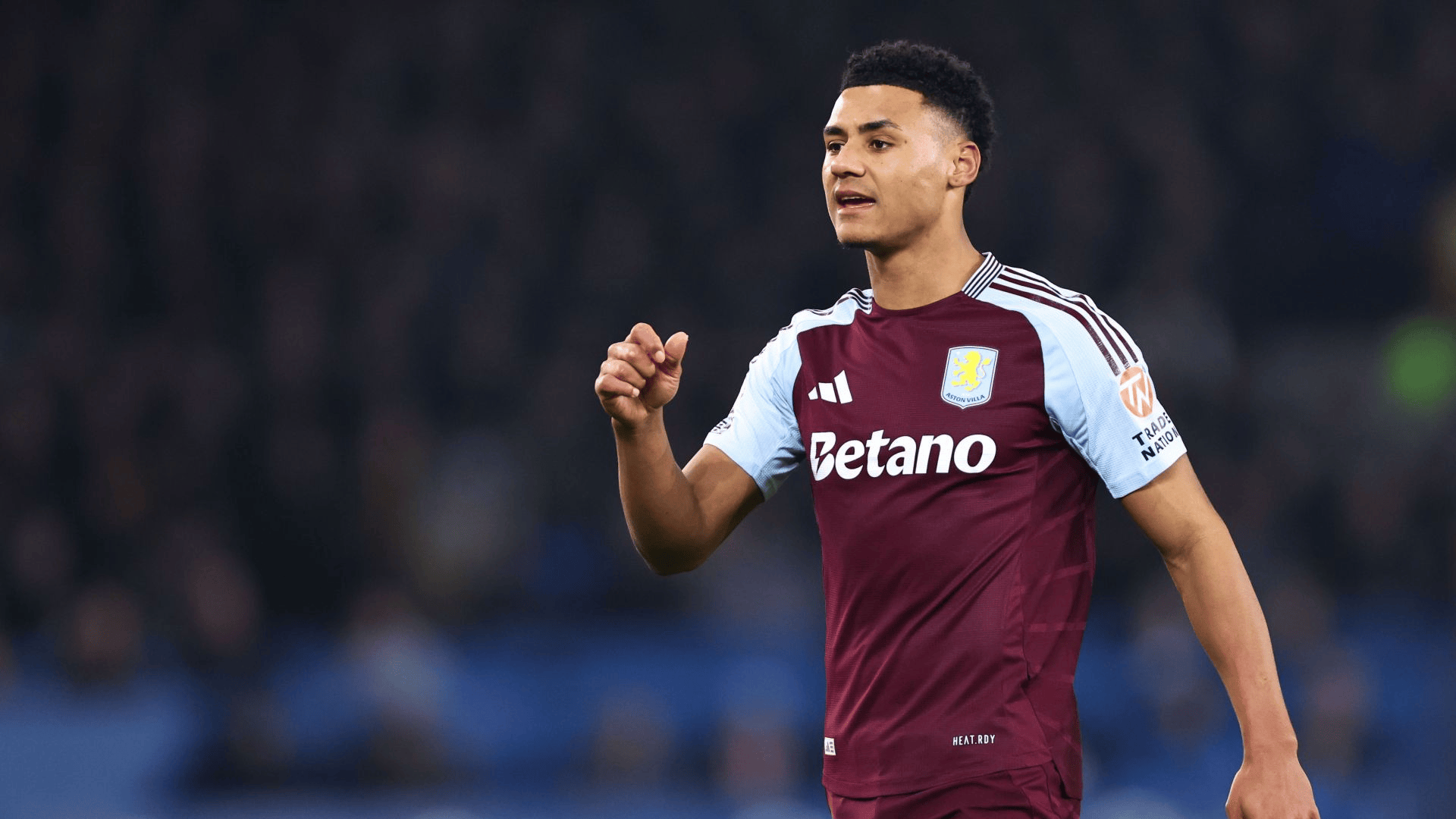 这对双步枪 这对双步枪